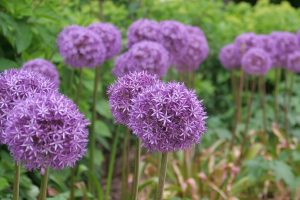 parkimpressionen-in-bad-muskau-1-h-mucc88ller