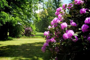 parkimpressionen-in-bad-muskau-10-h-mucc88ller