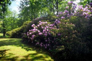 parkimpressionen-in-bad-muskau-11-h-mucc88ller