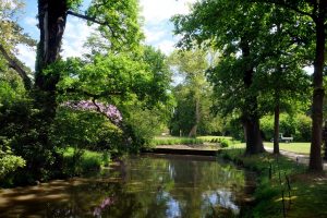 parkimpressionen-in-bad-muskau-12-h-mucc88ller