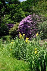 parkimpressionen-in-bad-muskau-13-h-mucc88ller