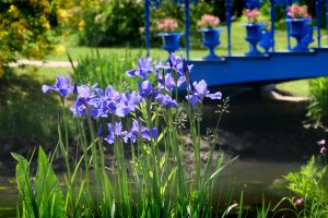 parkimpressionen-in-bad-muskau-15-h-mucc88ller