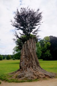 parkimpressionen-in-bad-muskau-5-h-mucc88ller