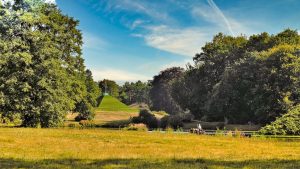 parks-park-branitz-im-spacc88tsommer-2-k-f-muehler-kopie