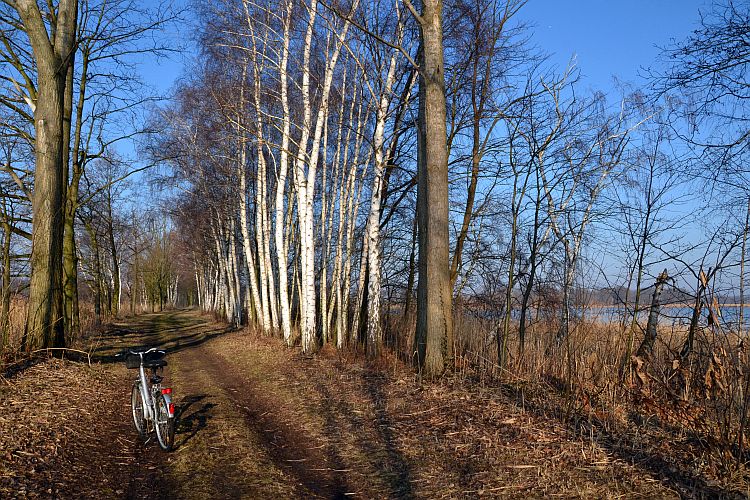 radwandern-entlang-der-teiche-p-fritsch