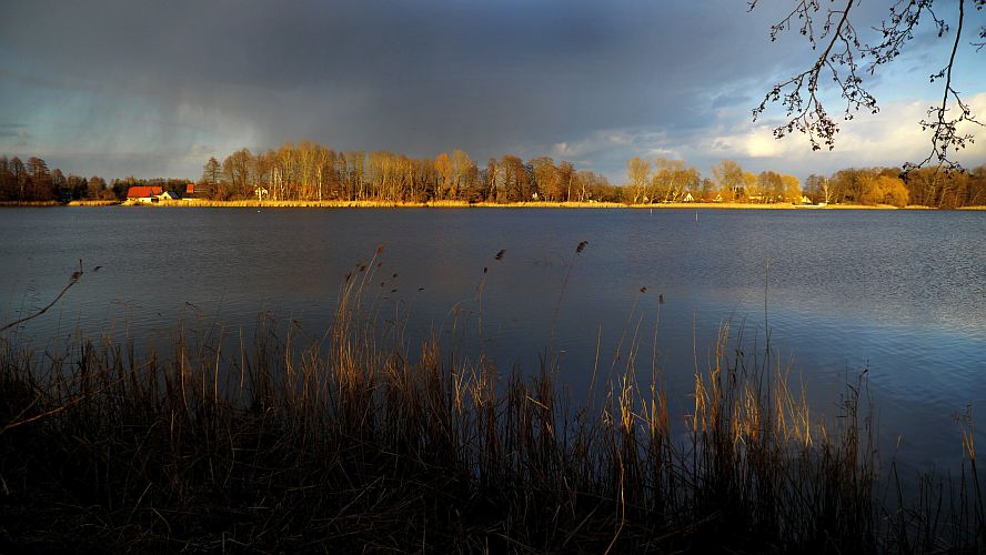 regenschauer-am-haelterteich-h-mueller