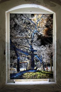 rohkunstbau-lieberose-4-k-f-mc3bchler