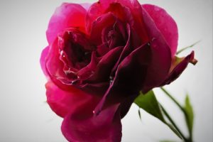 romantisch-k-f-muehler