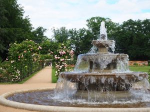 rosengarten-forst-bernd-opel