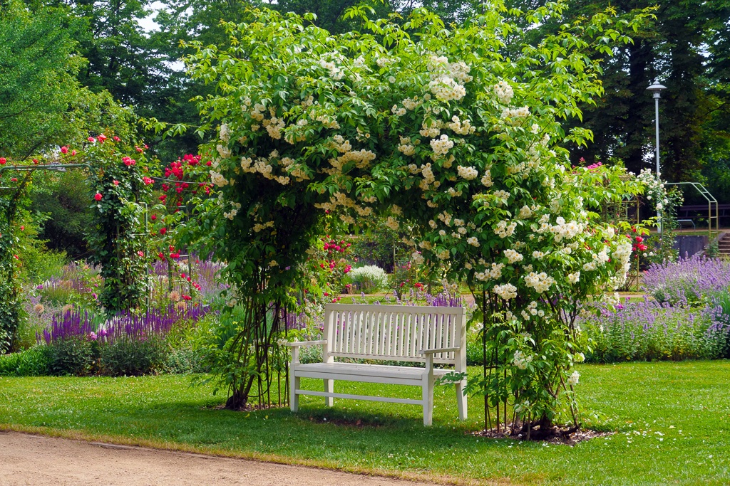 rosengarten-in-forst-1-h-mucc88ller