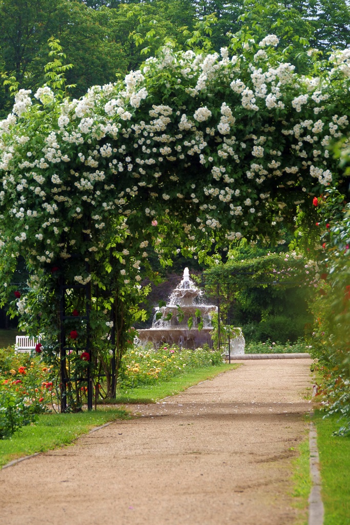 rosengarten-in-forst-2-h-mucc88ller