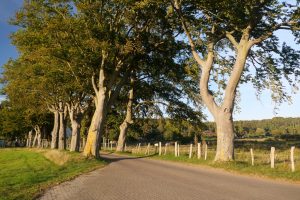 rucc88genimpressionen-11-h-mucc88ller