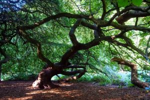 rucc88genimpressionen-14-h-mucc88ller