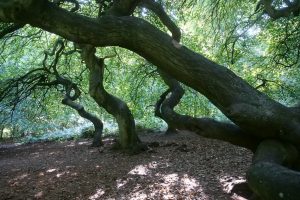 rucc88genimpressionen-15-h-mucc88ller