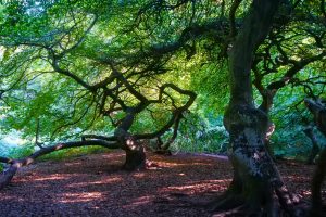 rucc88genimpressionen-16-h-mucc88ller