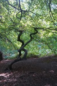 rucc88genimpressionen-17-h-mucc88ller