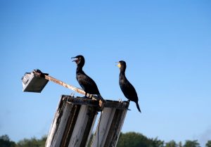 rucc88genimpressionen-5-h-mucc88ller