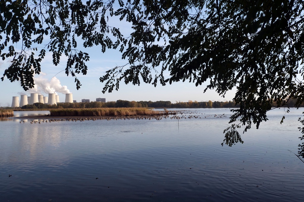 sammeln-am-teich-h-mucc88ller