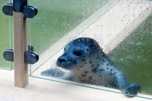 sch-wetter-heute-k-f-mucc88hler