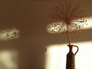 schattenspiel-bernd-opel