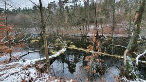 schlaubetal-i-n-kubicke