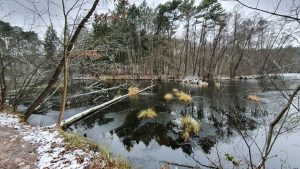 schlaubetal-ii-n-kubicke