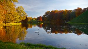 schloc39fpark-branitz-7-h-mucc88ller