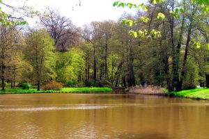 schlosspark-altdocc88bern5-h-mucc88ller