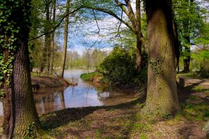 schlosspark-altdocc88bern6-h-mucc88ller