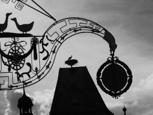 schnappschuc39f-h-mc3bcller