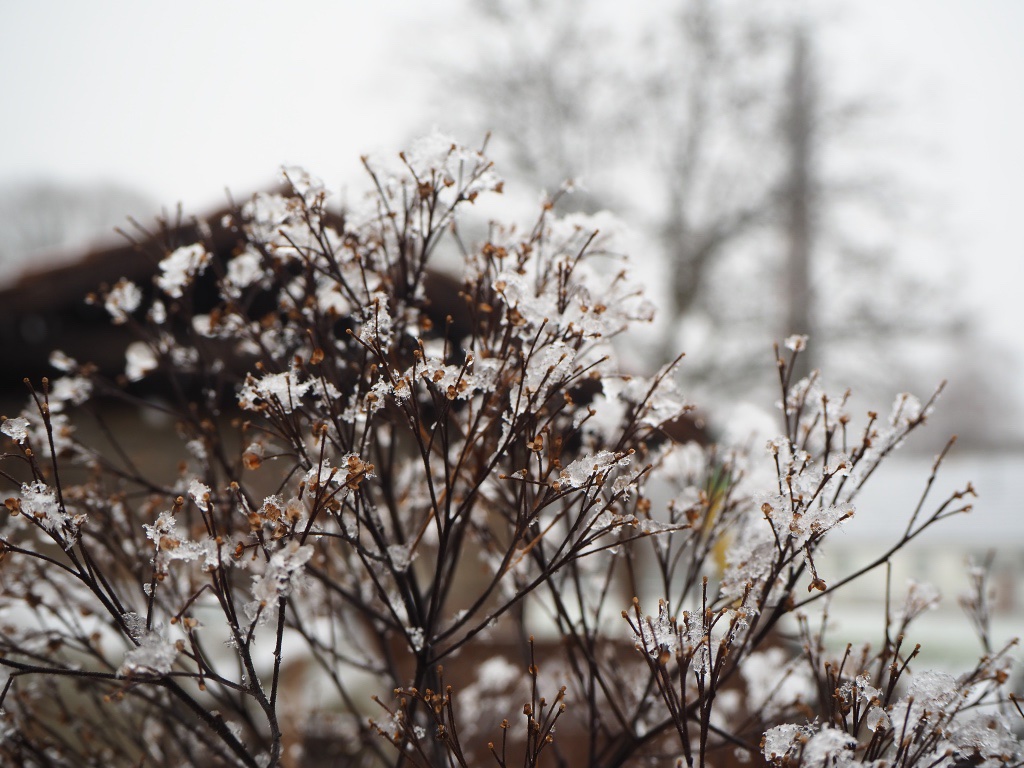 schnee-bernd-opel