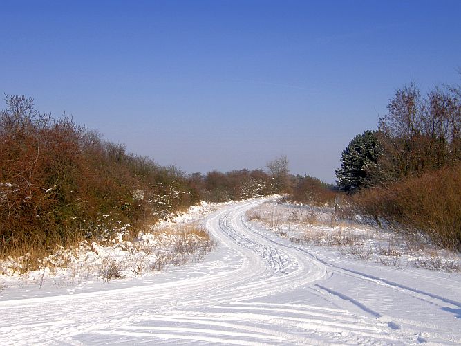 skiparadies-baerenbruecker-hoehe-k-f-muehler