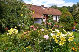 sommer-im-ueberflusz-h-mueller