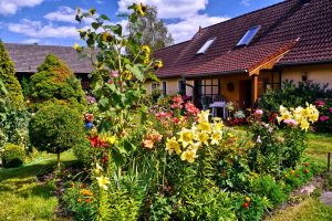 sommerfarben-h-mueller