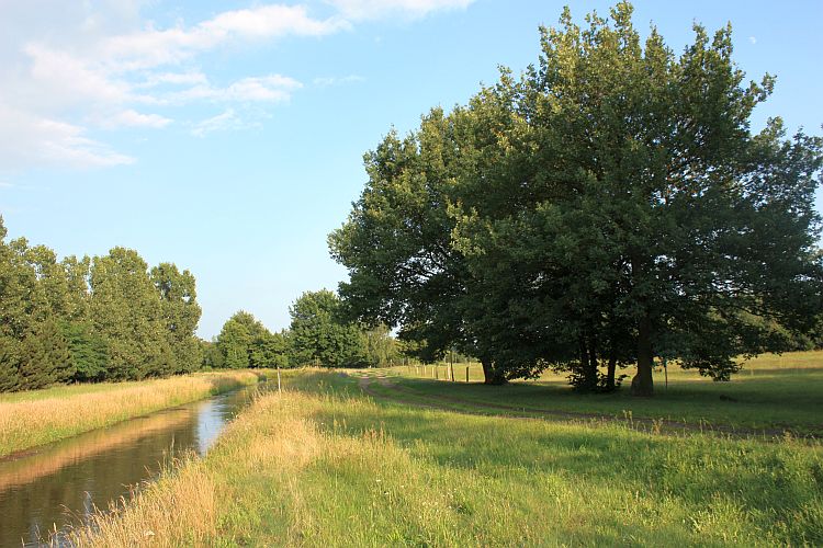 sommertag-in-radewiese-r-karge_