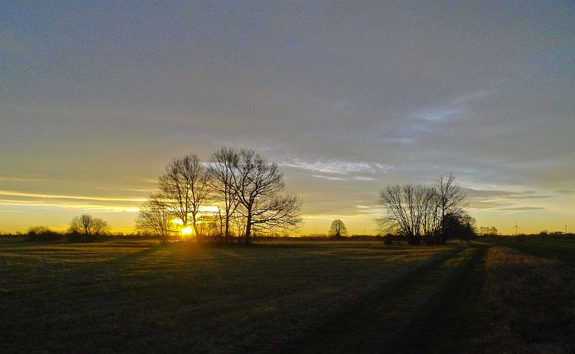 sonnenaufgang-ueber-den-lasszinswiesen-h-mueller