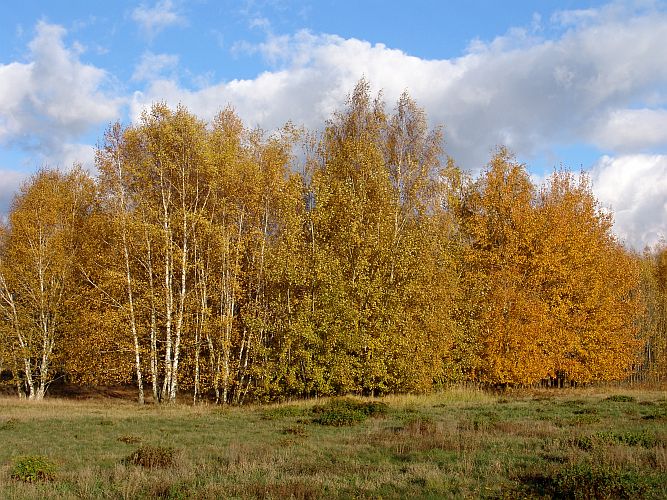 sonniger-novembertag-k-f-muehler