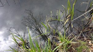 spiegelbild-p-fritsch