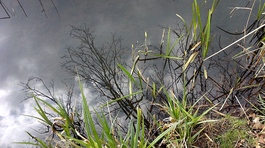 spiegelbild-p-fritsch