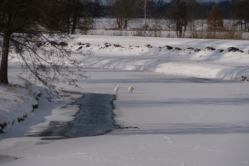 spreewaldwinter-2-h-mucc88ller