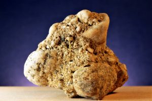 steinalt-08-k-f-muehler