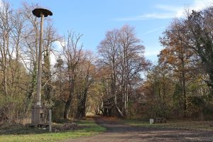 strasse-zum-frucc88heren-stadtteil-forst-berge
