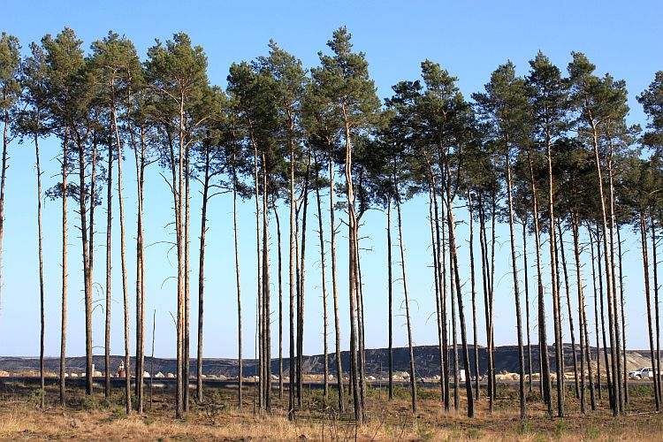 tagebaurand-jaenschwalde-von-r-karge_