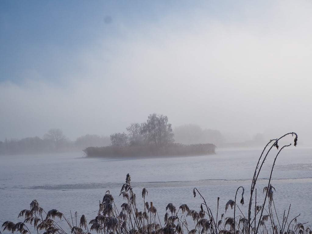 teufelsteich-imnebel-bernd-opel