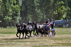 ueber-den-tellerrand-drebkau-1-k-f-muehler-kopie