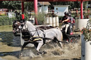 ueber-den-tellerrand-drebkau-2-k-f-muehler-kopie