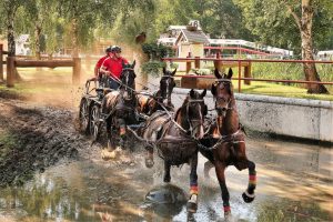 ueber-den-tellerrand-drebkau-3-k-f-muehler-kopie