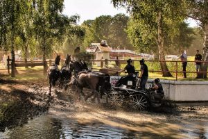 ueber-den-tellerrrand-drebkau-4-k-f-muehler-kopie