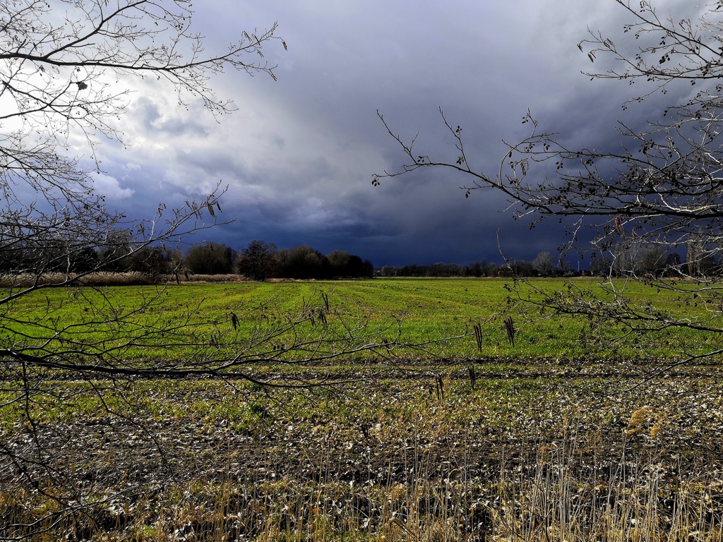 unwetter-ucc88ber-peitz-1-h-mucc88ller