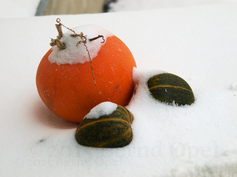 vergessen-im-schnee-bernd-opel